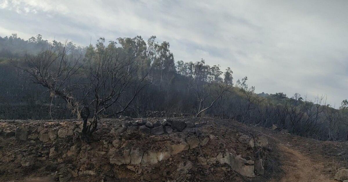 El viento cambia de dirección y el incendio se mantiene en una zona de difícil acceso.