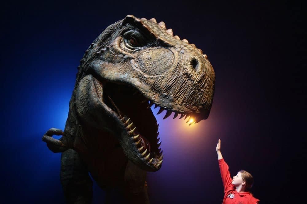 Dino Expo XXL llega a Expocoruña