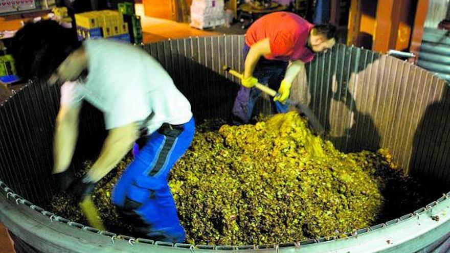 Sacar de la magaya alimentos formentaos saludables, oxetivu del IPLA