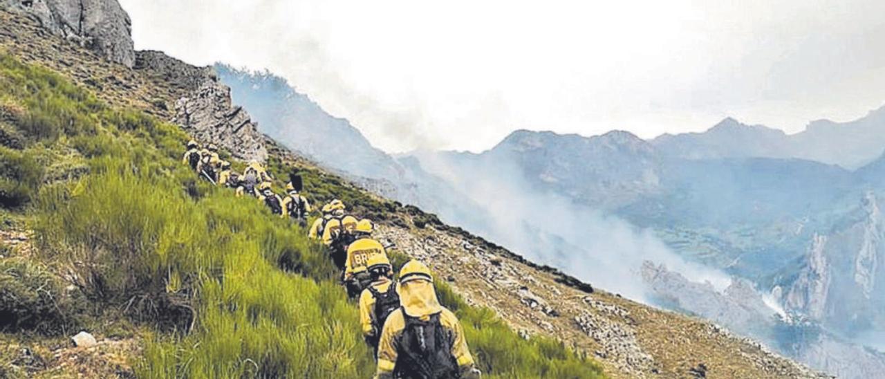 Integrantes de la Brif de Tineo atacan el fuego por el flanco izquierdo.| ATBrif