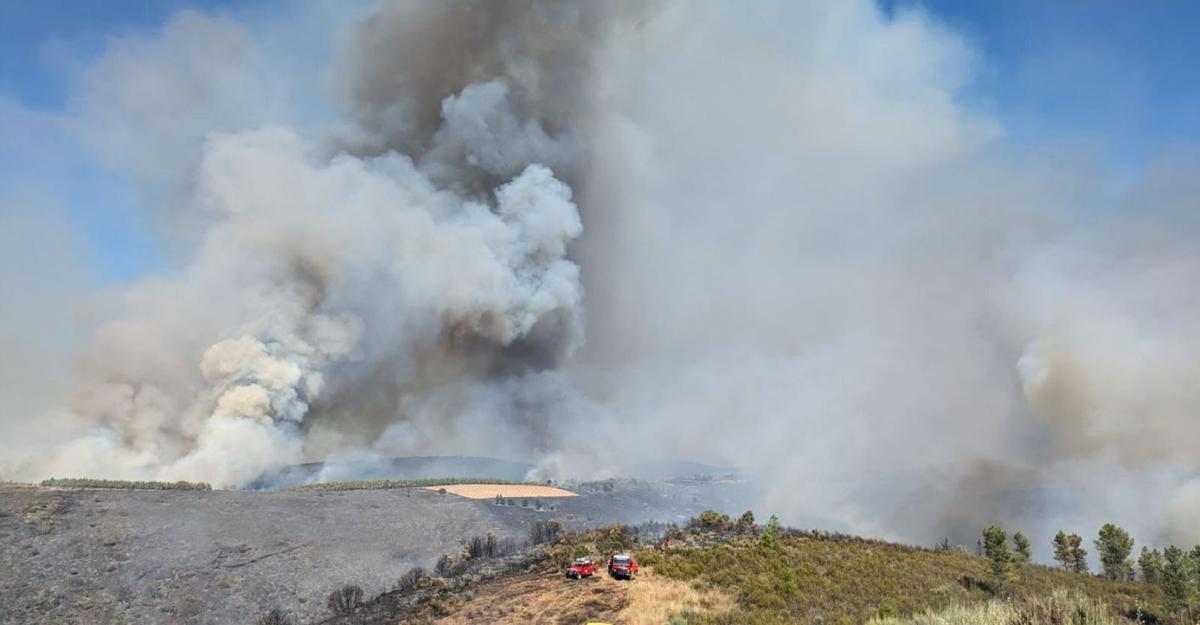 Medios de extinción tratan de frenar el avance del incendio de Argozelo. | Cedida