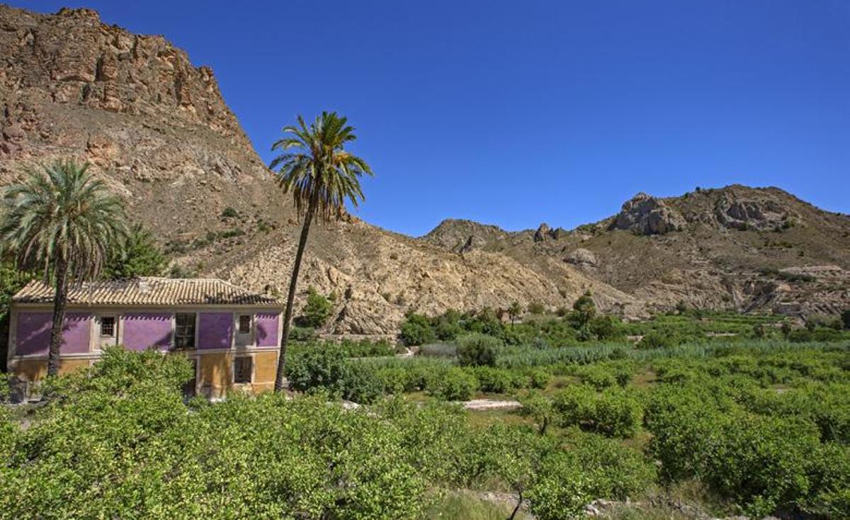 Vegetación exhuberante en contrasta con la montaña