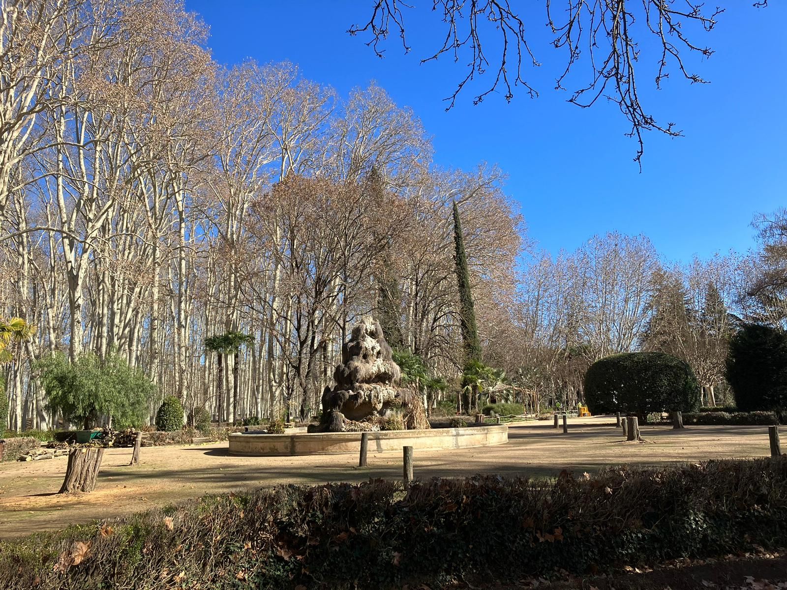 Talen divuit arbres dels jardins de la Devesa que s’havien fragmentat per dins