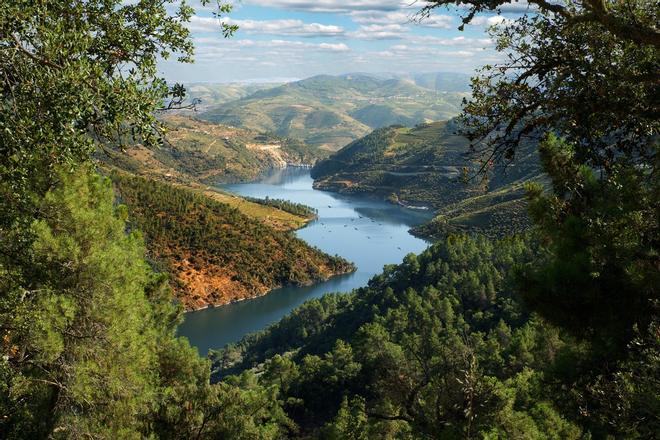 Paisaje en la Ribera del Duero, España