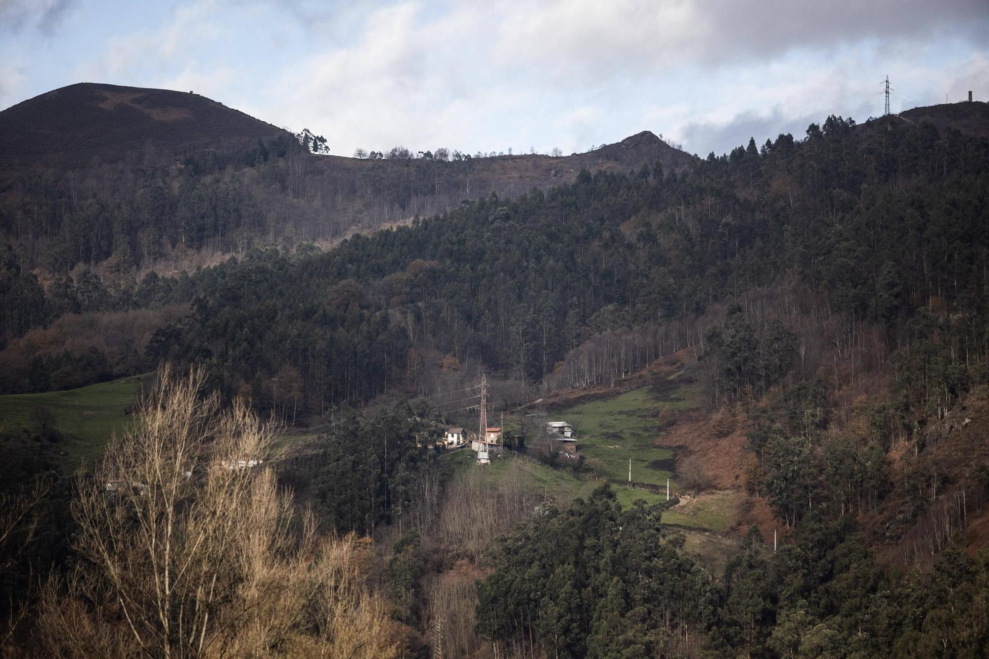 Asturianos en Mieres: un recorrido por el municipio