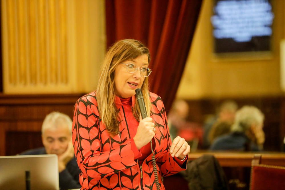 Pleno del Parlament del día 11 de febrero de 2019