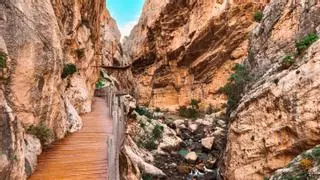 Málaga cuenta con el puente más largo de España: la nueva pasarela colgante de 110 metros, en el Caminito del Rey