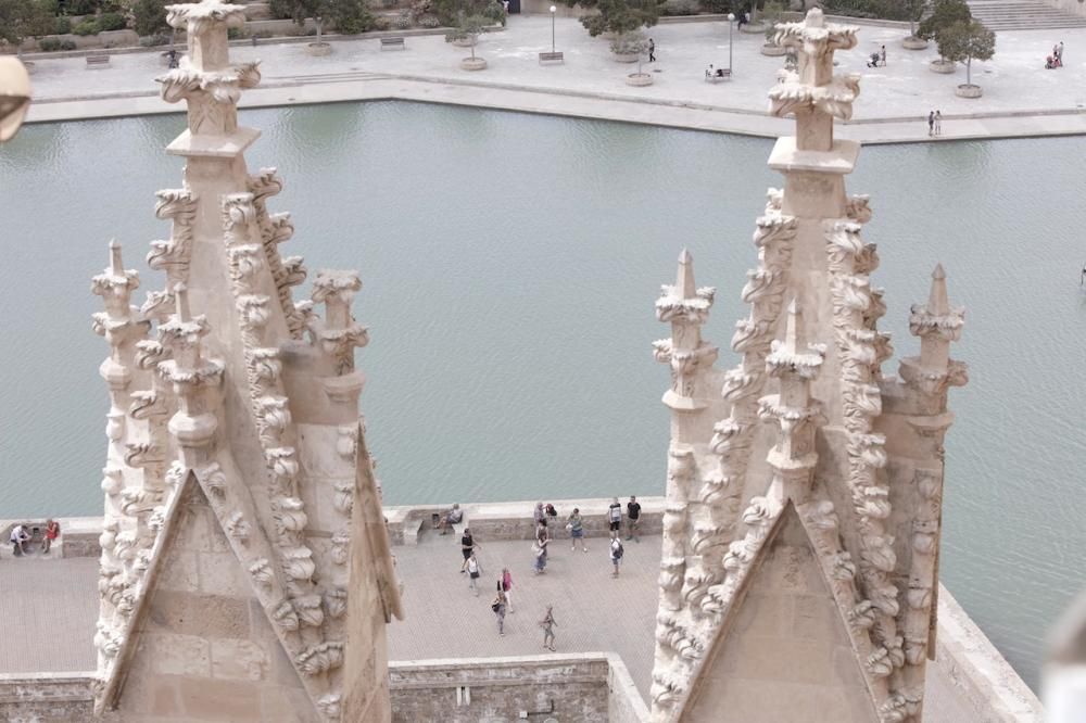 Visita guiada a las terrazas de la Seu