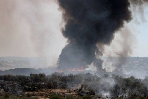 Un incendio arrasa parte de los Arribes en Villalcampo