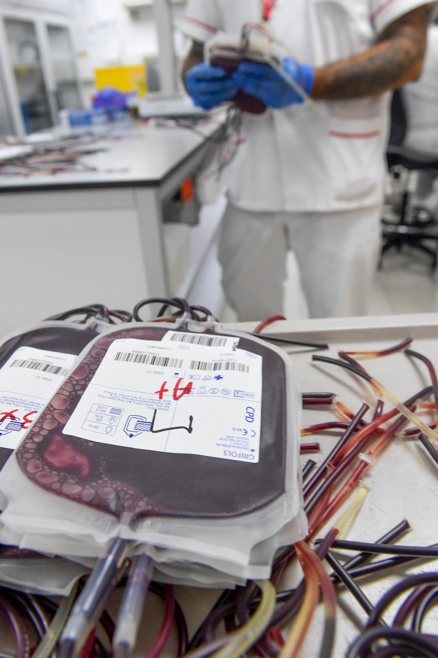 Almacenamiento de las donaciones de sangre en el ICHH