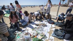 Recogida de residuos en la playa de Barcelona, organizada por Surfrider y Buff.