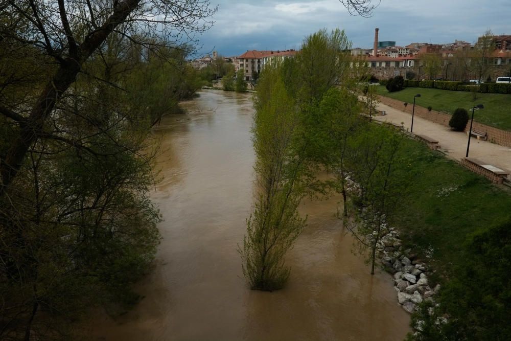 Crecida del río Duero