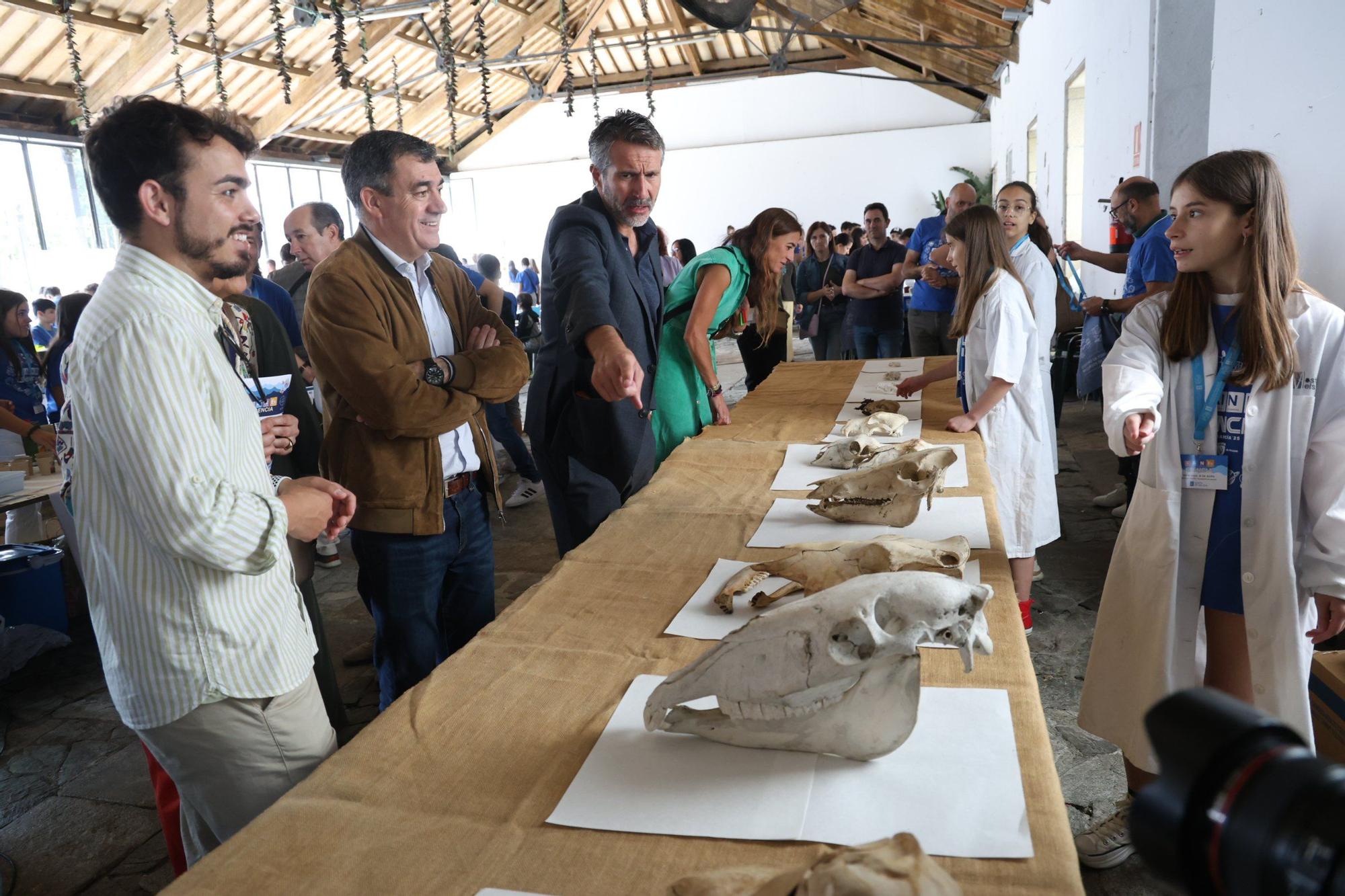 La feria Salnés Ciencia, celebrada esta mañana en la plaza de A Peixería (Vilagarcía).