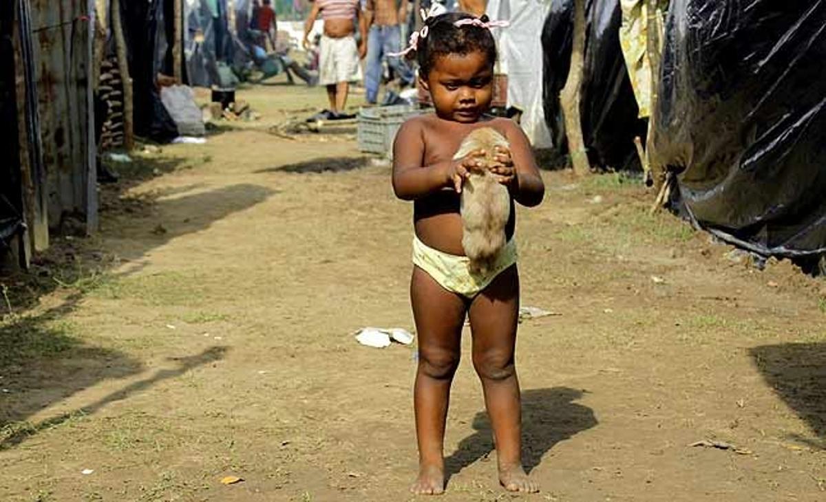Una nena aixeca un conill en un alberg improvisat de Manatí (Colòmbia). Els damnificats a causa de les inundacions es refugien en poliesportius i col·legis del municipi colombià.