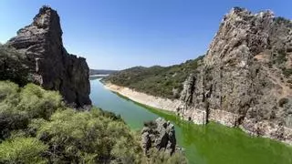 Alertan sobre la presencia de bacterias tóxicas en embalses de Monfragüe