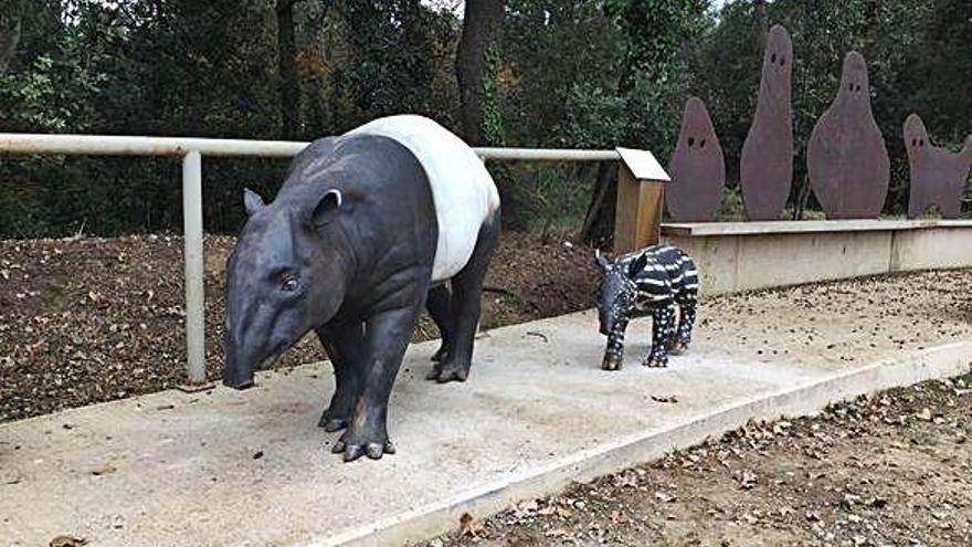 Els dos tapirs que donaran la benvinguda als visitants de l&#039;Espai Aquae.