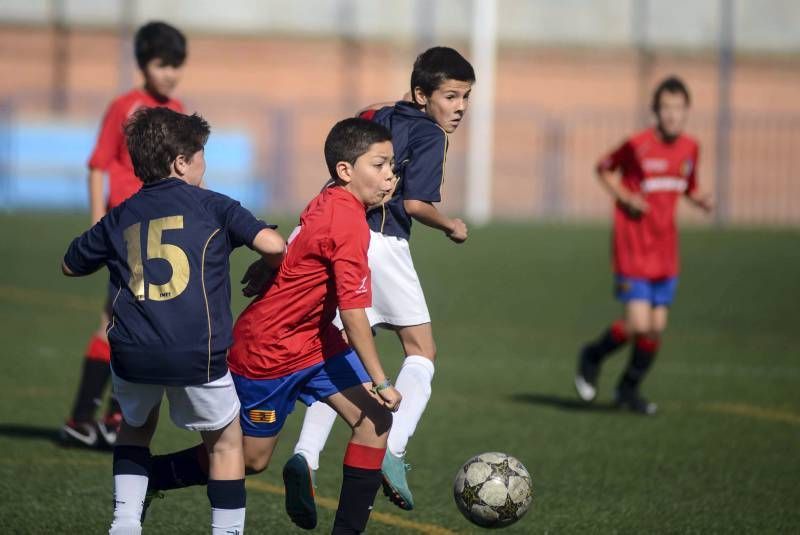 FÚTBOL: Montecarlo A - El Salvador A (2ª Alevín)