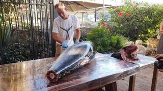 Velada de ronqueo de atún en el restaurante Villa Luisa del Port de Sóller