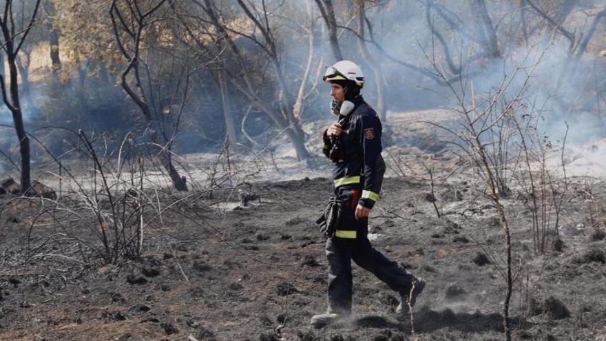 España, segundo país del Mediterráneo con más superficie quemada cada año por los incendios