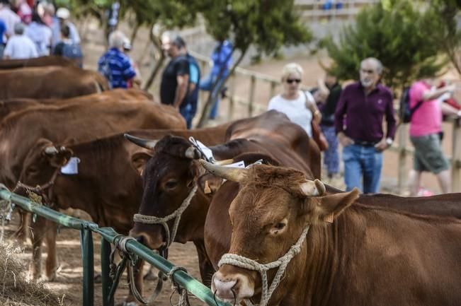 FIESTAS DE VALLESECO