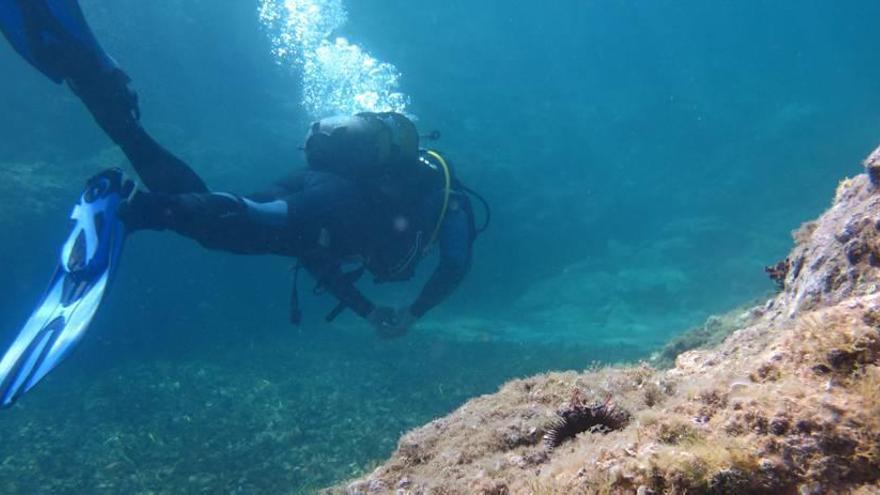 Buceo responsable en Cabo de Palos