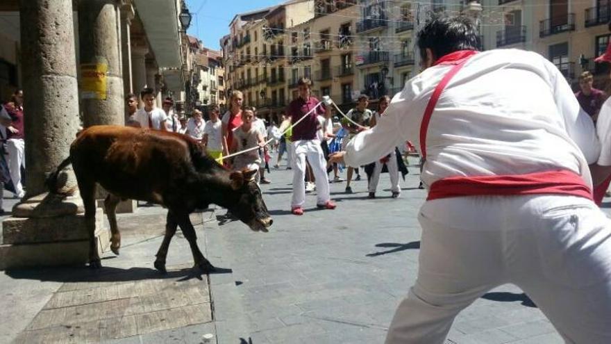 El ensogado de los toros centra el último día de las fiestas