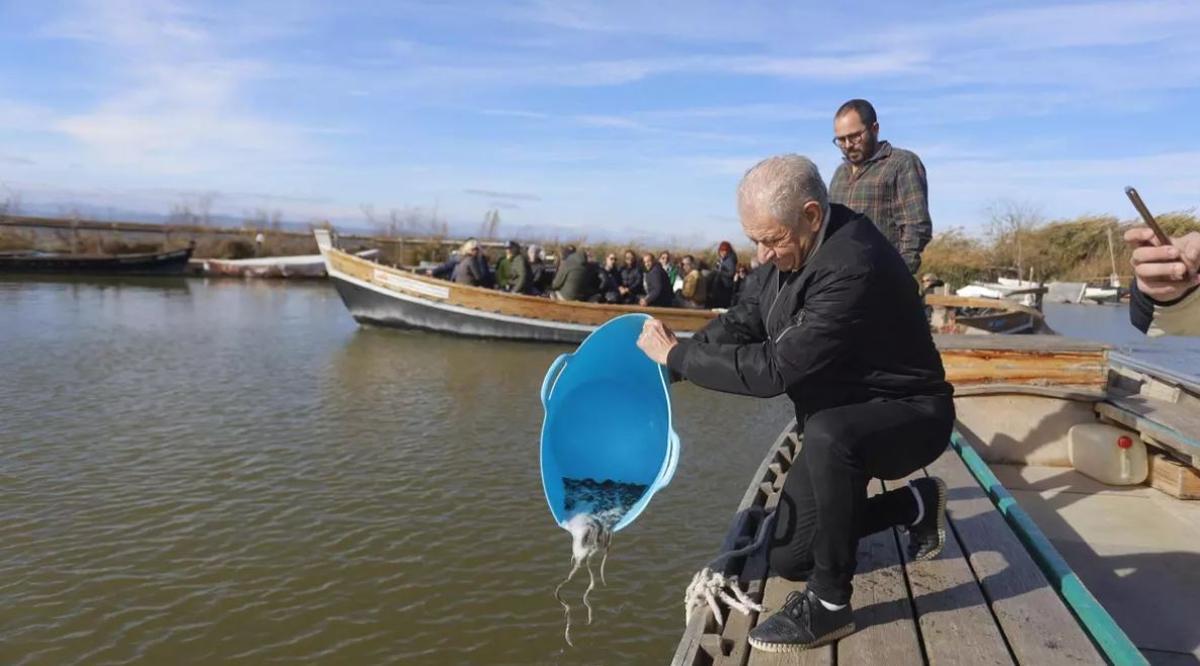 Los pescadores del Palmar sueltan crías