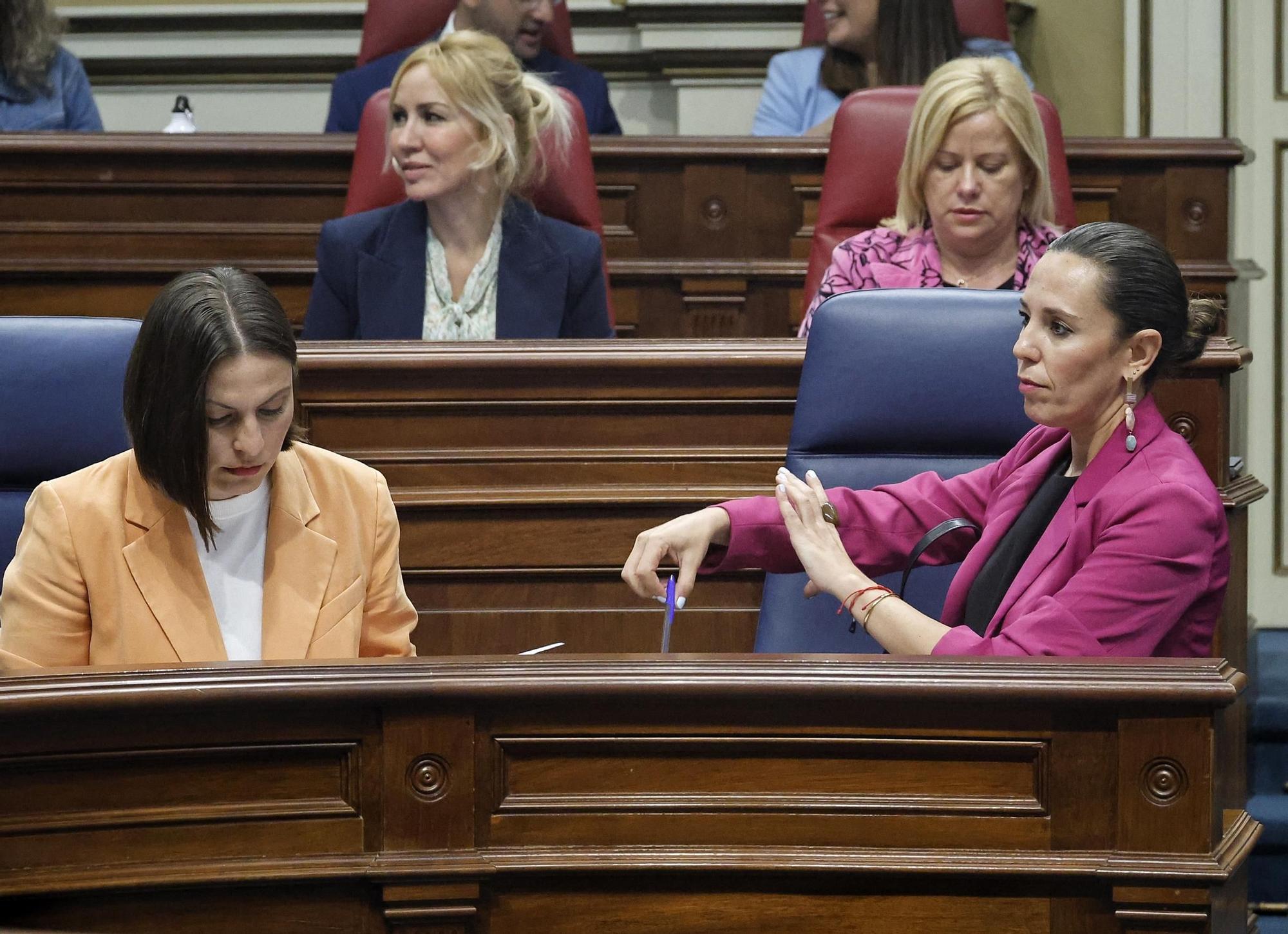 Pleno del Parlamento (08/04)