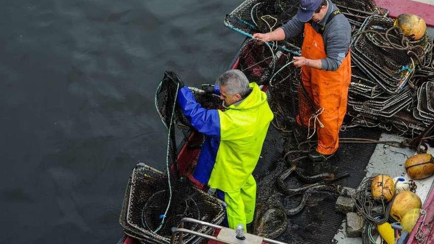 Pesca de lamprea en el río Ulla. // Iñaki Abella