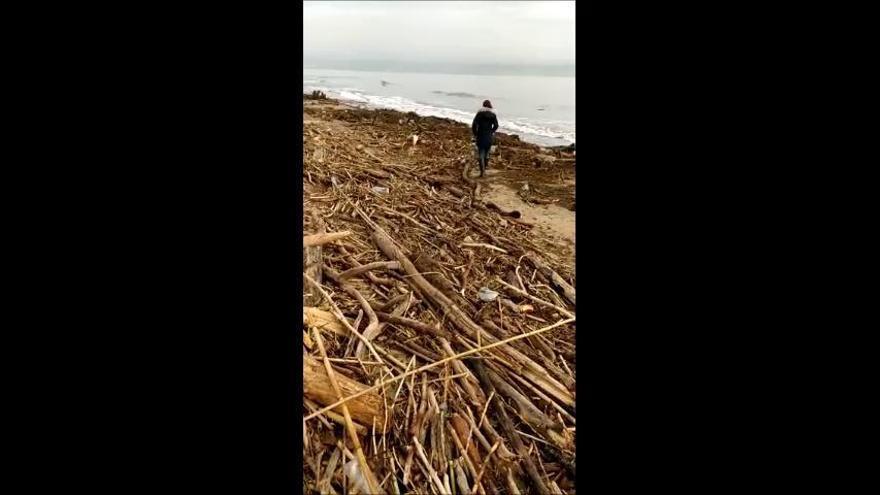 Una allau de fusta i brossa omple la platja de Sant Pere Pescador