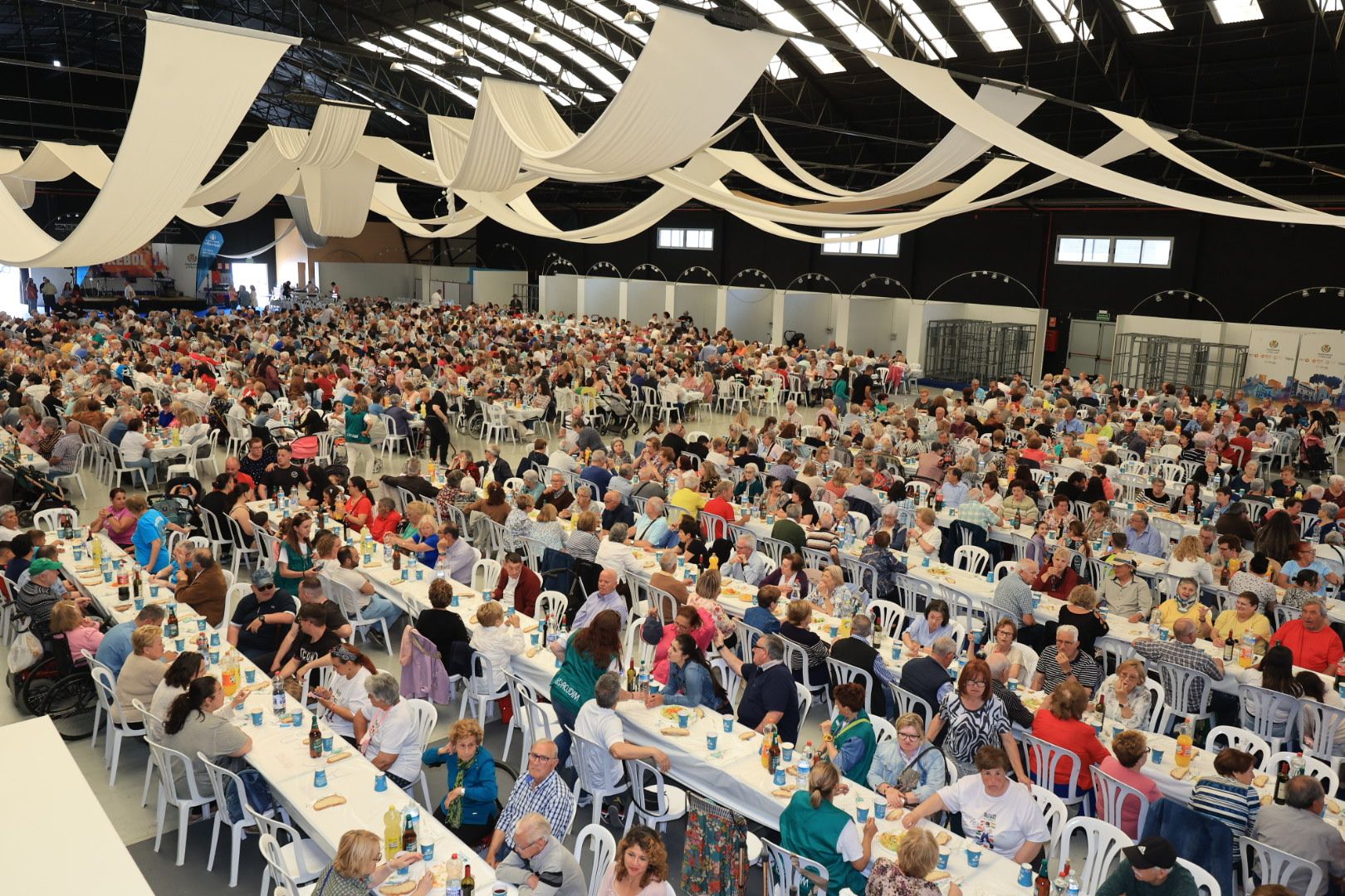 FOTOGALERÍA I Las imágenes de la sexta jornada (miércoles) de las fiestas patronales de Sant Pasqual en Vila-real