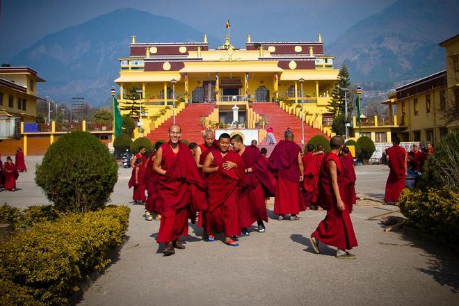 Monjes en el monasterio de Gyuto, en Dharamsala