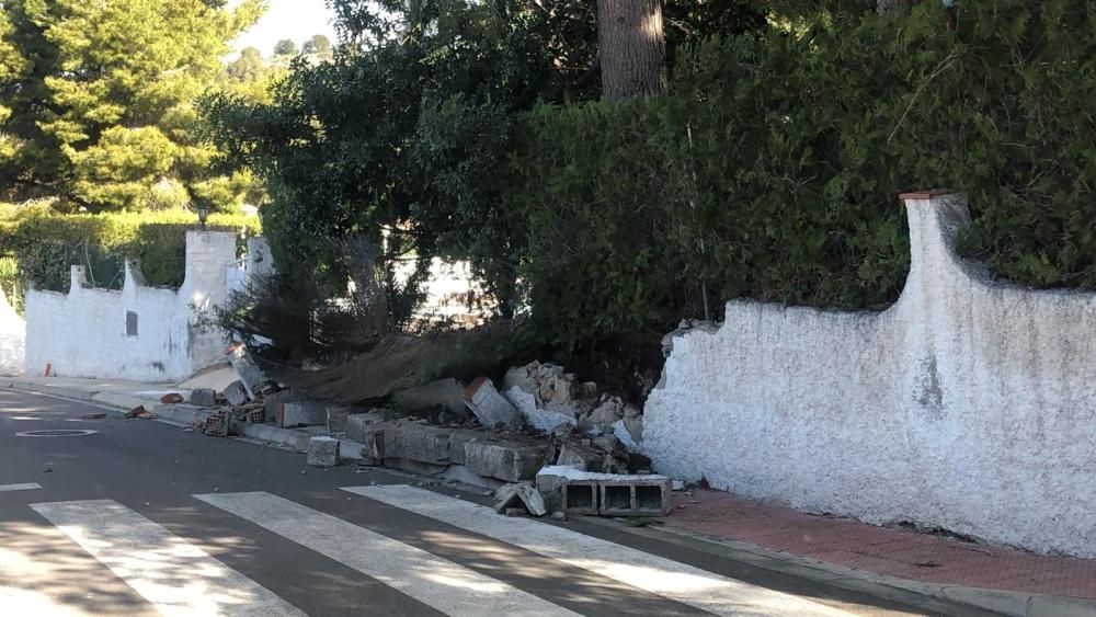 Daños por el viento en la Baronía