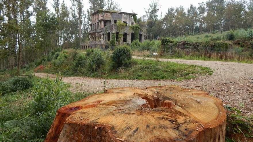 Parque de O Paraxón, en Oza-Cesuras, con el antiguo sanatorio al fondo.