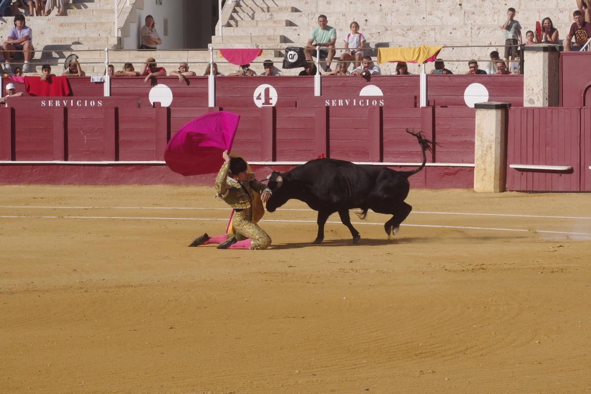 Final del Certamen de Escuelas Taurinas 2025