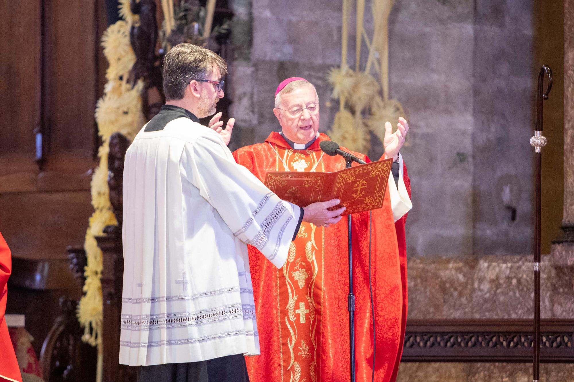 El obispo de Mallorca, Sebastià Taltavull, da el ‘sus’ al Domingo de Ramos, con la la bendición de los ramos y una misa en la Seu