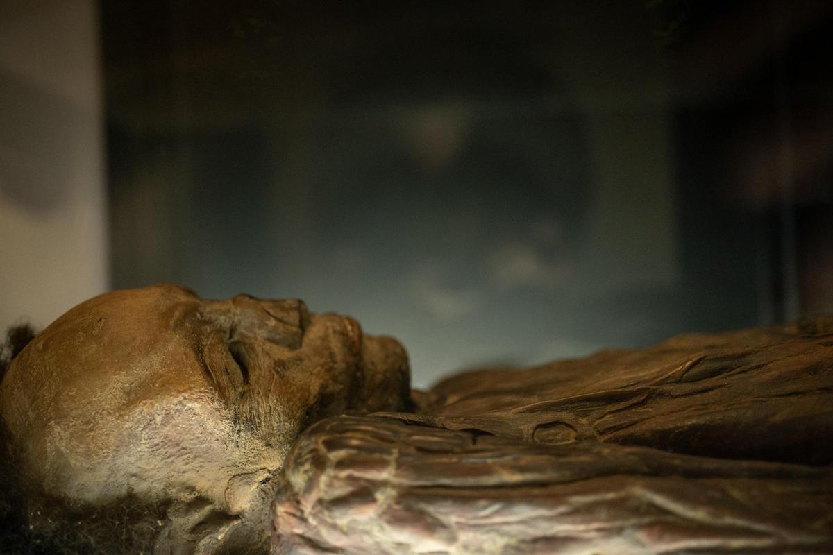 La réplica de la momia guanche de Madrid que se encuentra en el MUNA de Santa Cruz de Tenerife.