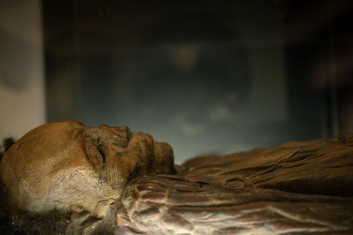 The replica of the Guanche mummy from Madrid found in the MUNA of Santa Cruz de Tenerife.