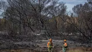 La sequía aboca a Catalunya a la temporada de incendios más complicada de los últimos 30 años