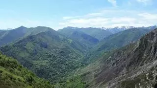 Ruta al pico La Patana: un paseo entre helechos poco conocido y envuelto en colores otoñales