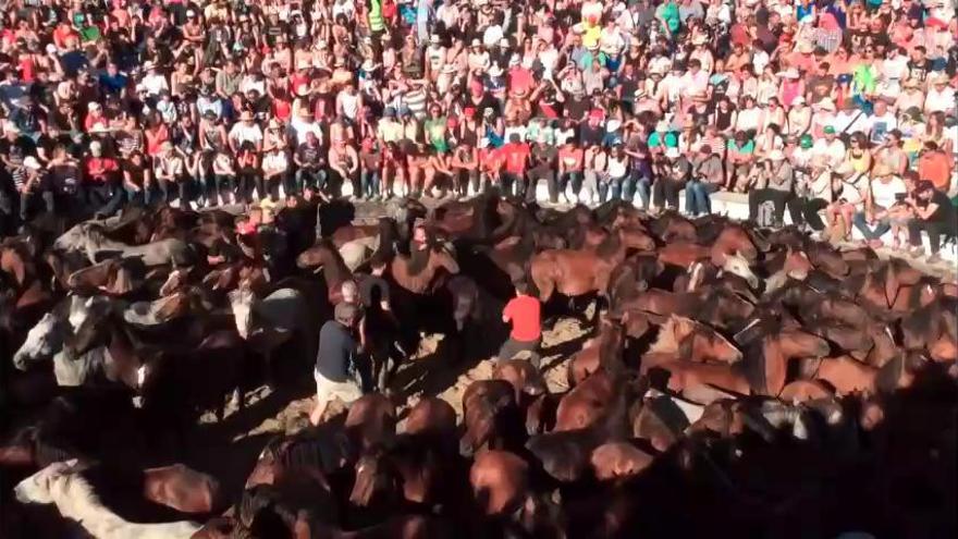 Hombre y caballo danzan en la Rada das Bestas de Sabucedo