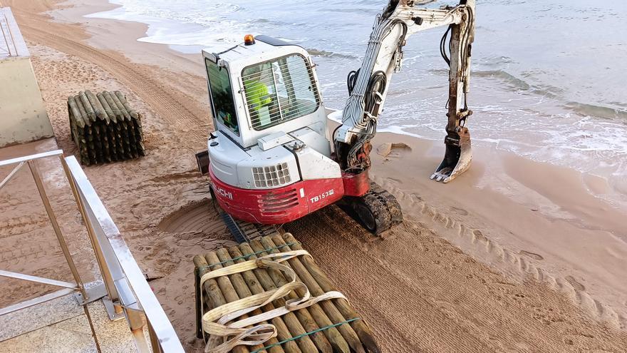 Costas destina 700.000 euros a proteger y regenerar las dunas de El Altet y Arenales en Elche