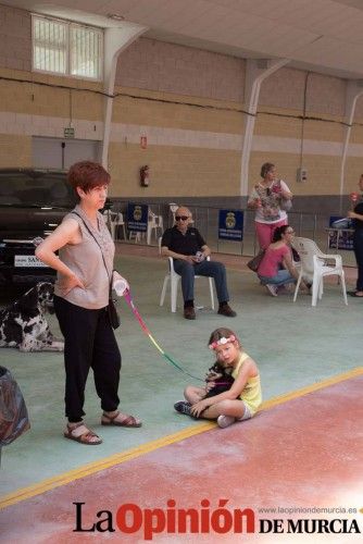 Concurso canino en Caravaca