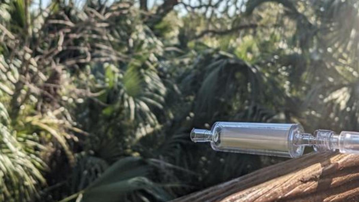 El eDNA del aire se aspira desde un bosque de Florida, utilizando un equipo de laboratorio simple y un filtro de aire.