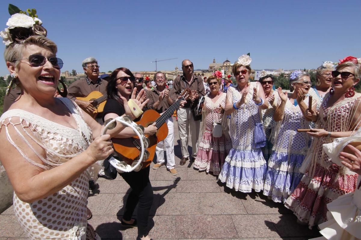 Camino de la Feria