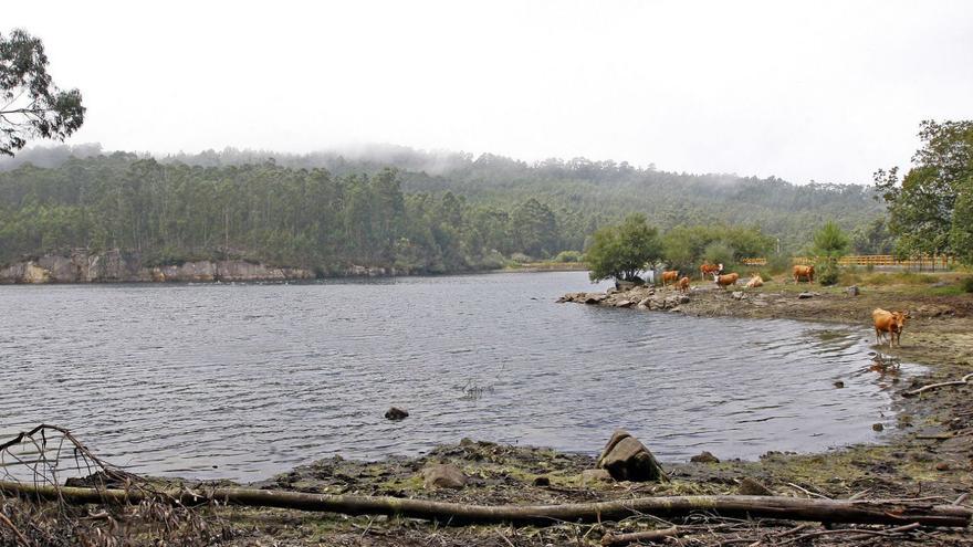 El embalse de Baíña, lleno en la actualidad. |   // MARTA G. BREA