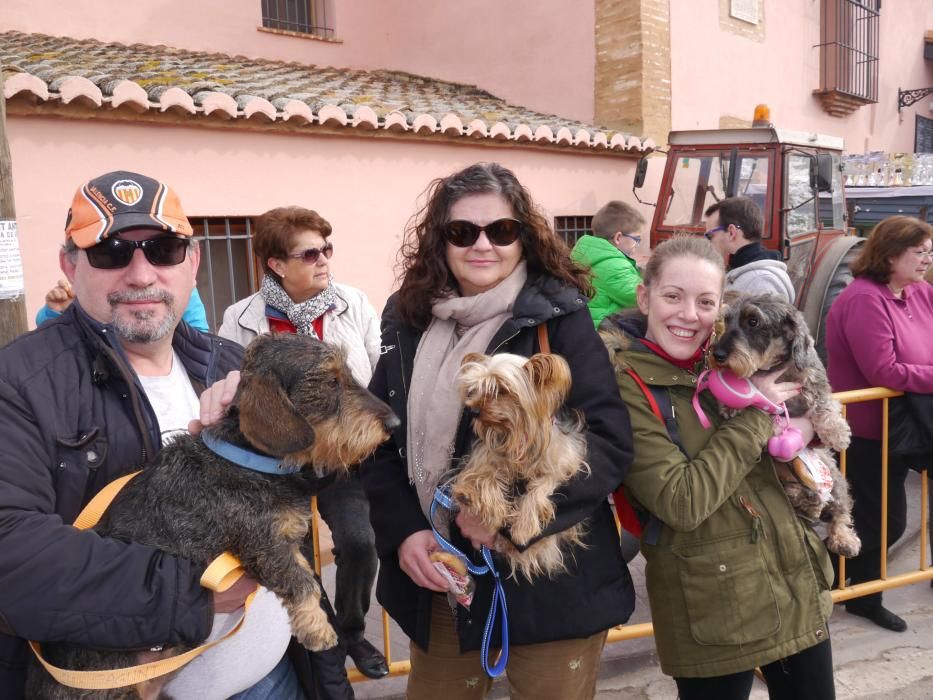 Fiesta de Sant Antoni Abad de Vera