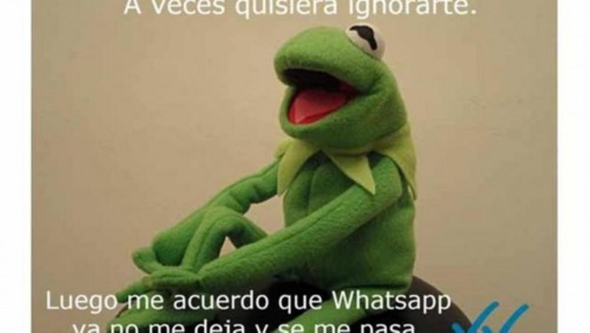 Los memes del doble check de Whatsapp Los memes del doble check de Whatsapp