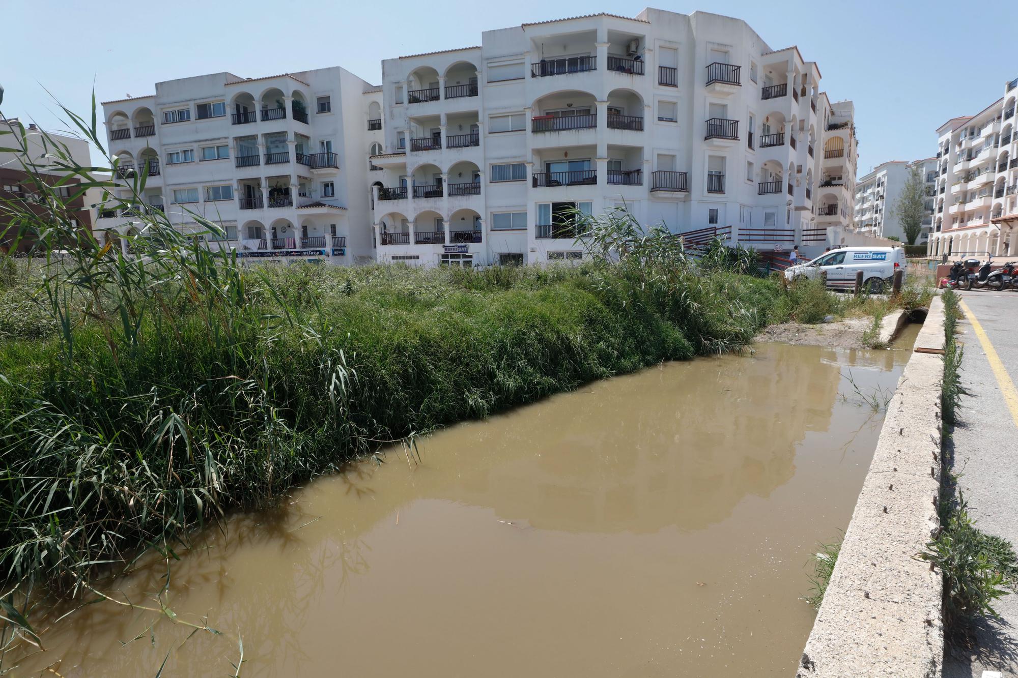 Nuevo vertido en el torrente de sa Llavanera de Ibiza