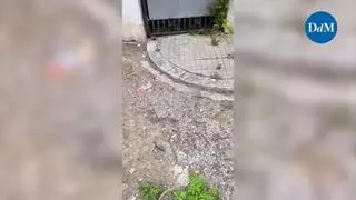 Jeringuillas en Son Busquets: "En un despiste puede ocurrir una desgracia"